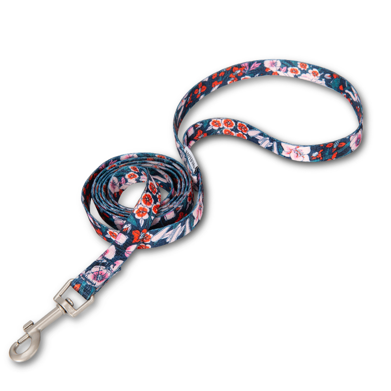 Winhyepet Floral Print Pet Lea - Ethnic Fashion Walk review and price